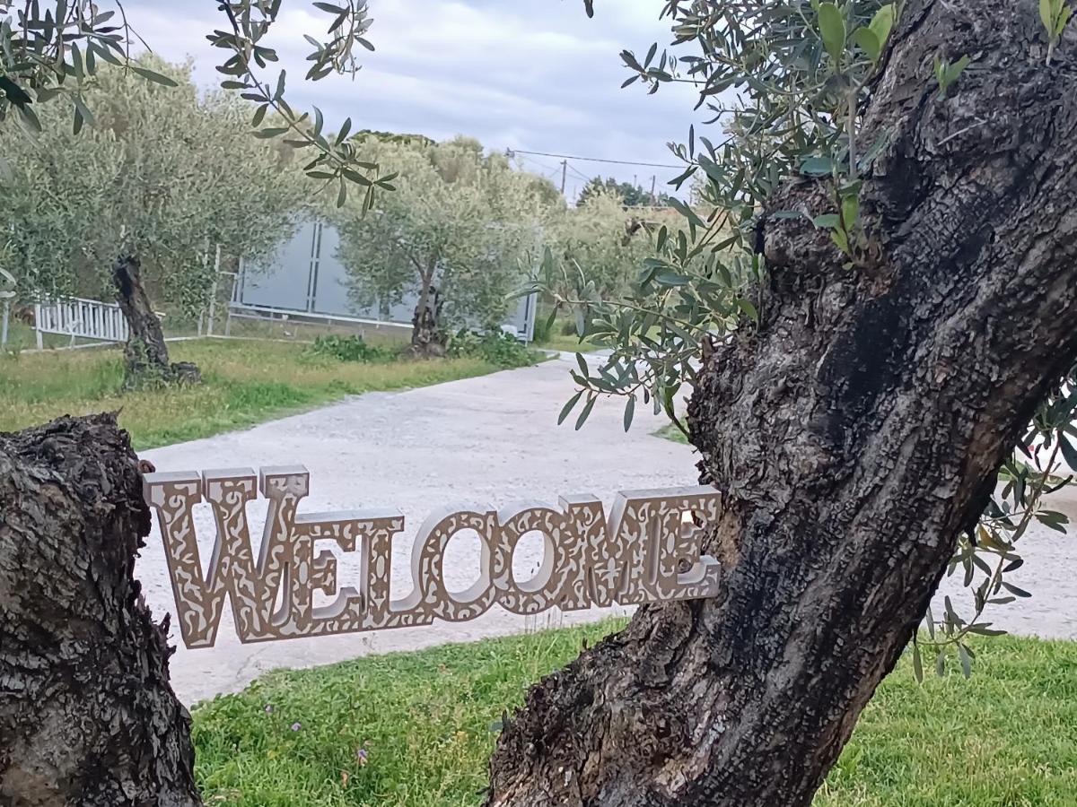 Villa The Secret Olive House Nea Michaniona Esterno foto