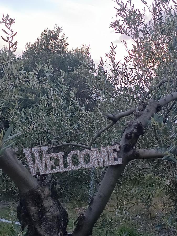 Villa The Secret Olive House Nea Michaniona Esterno foto