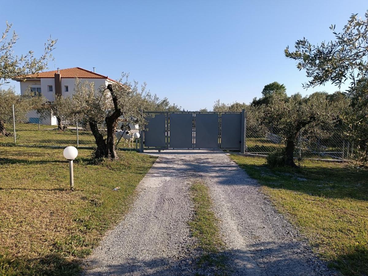 Villa The Secret Olive House Nea Michaniona Esterno foto